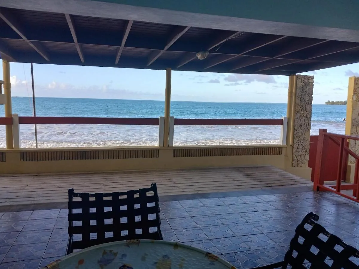 Selva Boutique Hotel - Luquillo Oceanfront Retreat - Adults Only Puerto Rico