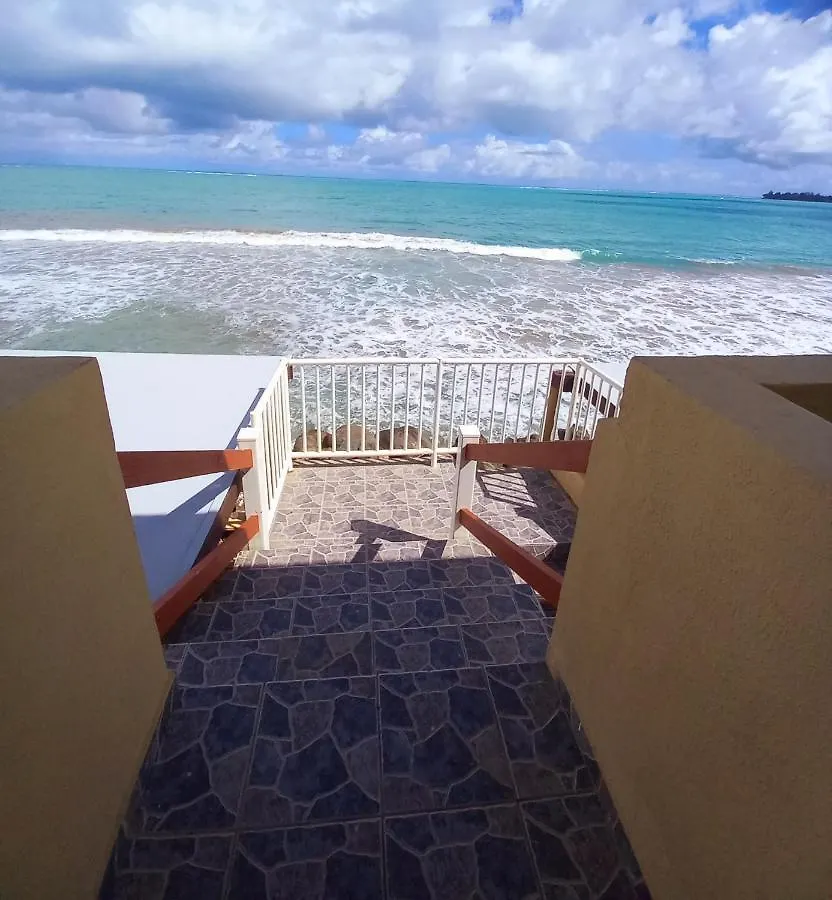 Selva Boutique Hotel - Luquillo Oceanfront Retreat - Adults Only