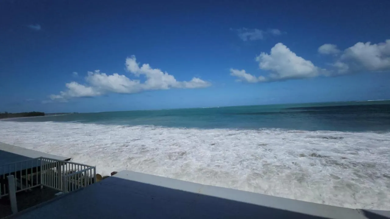 Selva Boutique Hotel - Luquillo Oceanfront Retreat - Adults Only