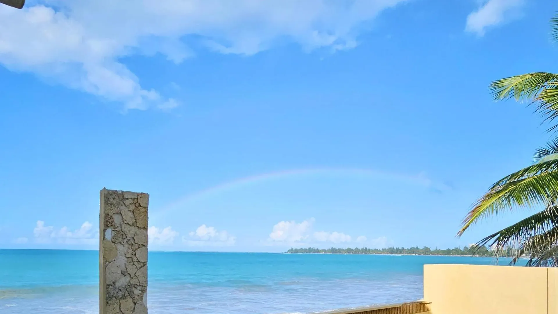 Selva Boutique Hotel - Luquillo Oceanfront Retreat - Adults Only