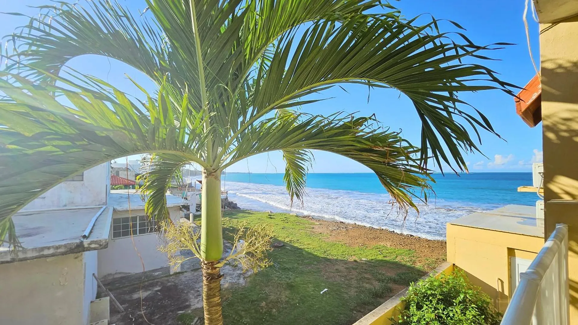 Selva Boutique Hotel - Luquillo Oceanfront Retreat - Adults Only