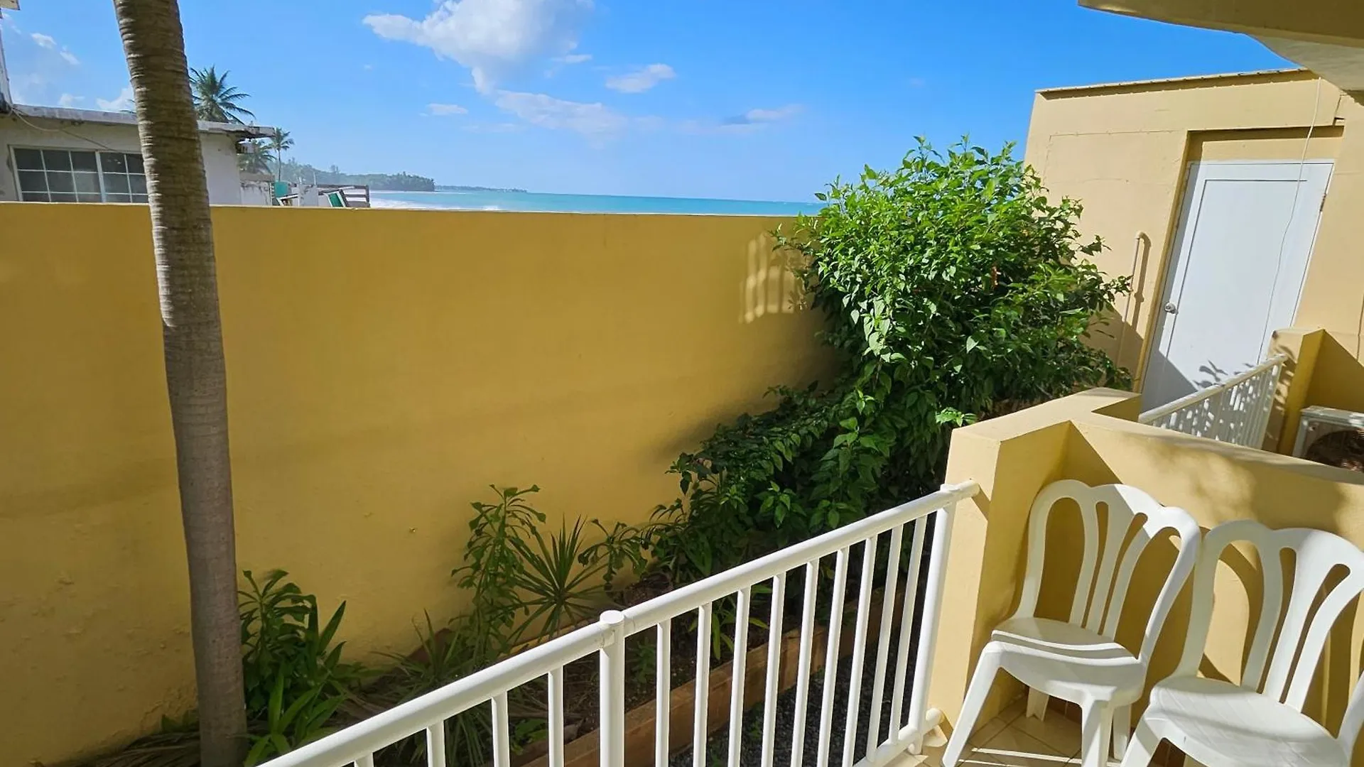 Selva Boutique Hotel - Luquillo Oceanfront Retreat - Adults Only Puerto Rico