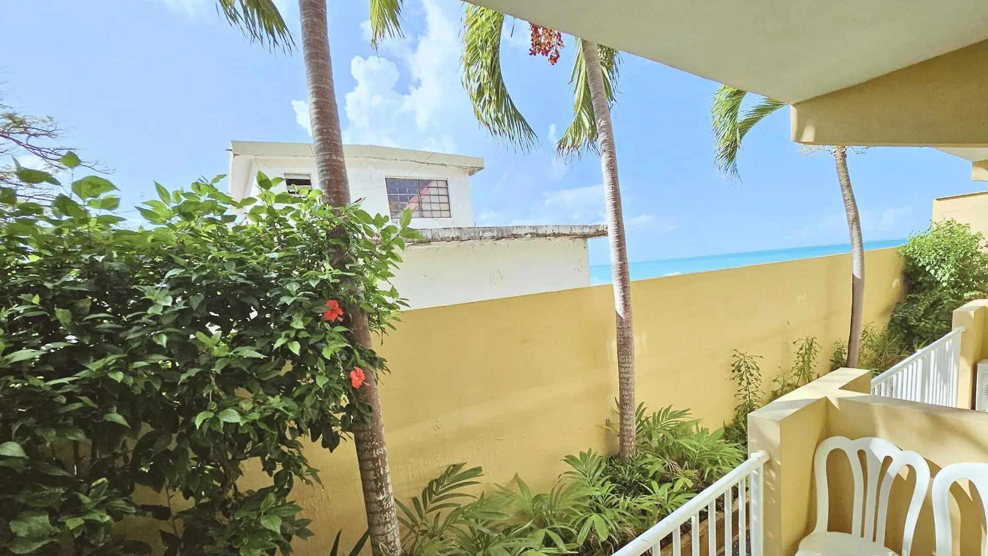 Selva Boutique Hotel - Luquillo Oceanfront Retreat - Adults Only